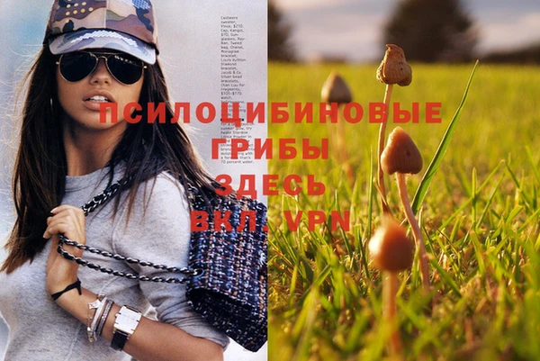таблы Алексеевка